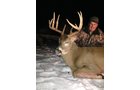 Lake County, Indiana wildlife caught - LAND AUCTION - 147+/- ACRES OFFERED IN 3 TRACTS IN LAKE COUNTY, INDIANA